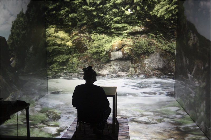 Inducing physiological stress recovery with sounds of nature in a virtual reality forest - Annerstedt et al.