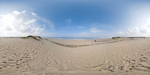 Beach With Wooden Poles