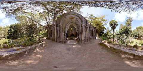 Ancient Ruins Under Banyan Tree
