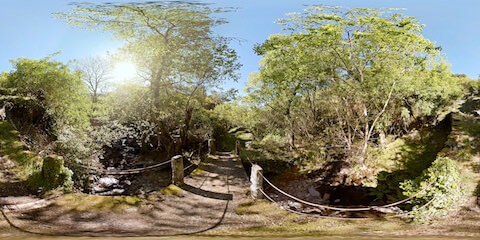 Footbridge Over Creek