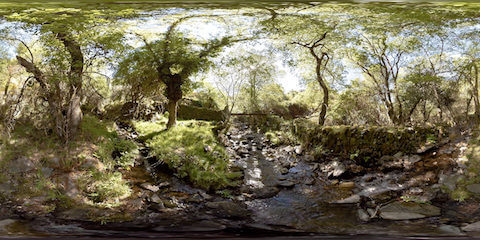 Junction Of Two Creeks