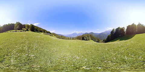 Scenic Meadow In Bavarian Alps