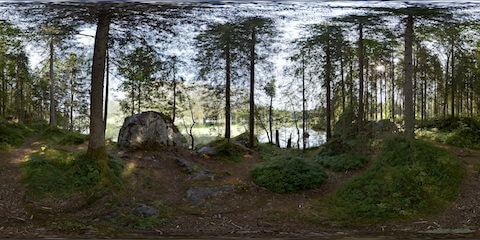 Enchanted Forest Near Alpine Lake