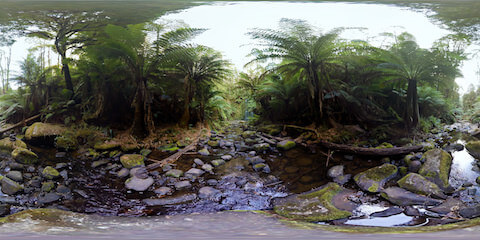 Beauchamp Falls Creek