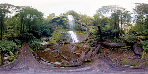 Rainforest Waterfall Oasis