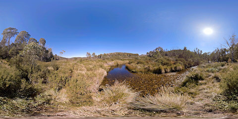 Mountain Stream In Heathland