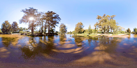 In The Middle Of A Countryside Stream