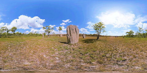 Magnetic Termite Mounds