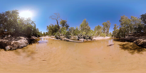 Tropical Rainforest Creek Junction Of Waters