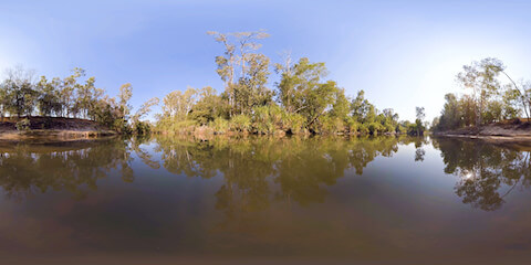 Tropical Rainforest Creek In The Water