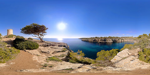 Mediterranean Bay Near Tree And Ruins At Cala Pi