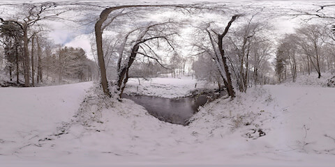 Winter Wonderland Near Creek