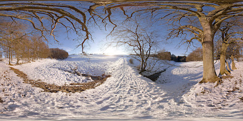 Winter Wonderland Near Forest Timelapse