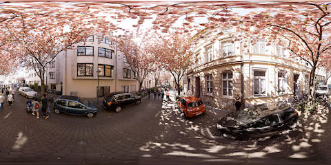 Cherry Blossom Street
