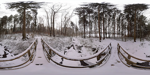 Snowy Bridge In Winter Forest