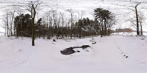 Winter Forest With Creek