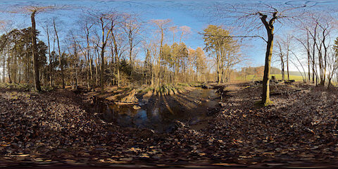 Creek Flowing Through Forest