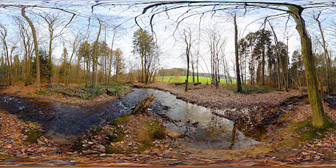 Small Island In Forest Creek