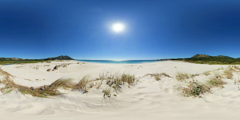 Windswept Dune On White Beach