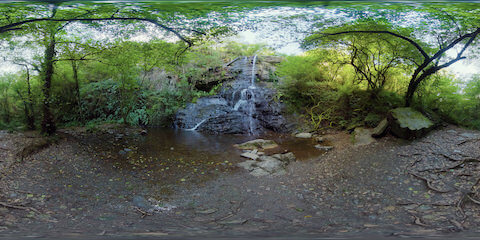 Waterfall In Mystic Forest