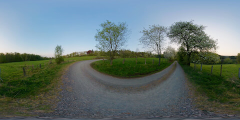 Blossoming Spring Cherry Trees Along Gravelpath