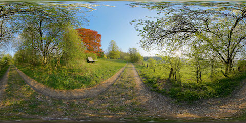 Restful Sojourn In Spring Forest Meadow
