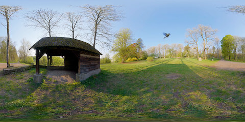 Nesting Birds In Hiking Hut