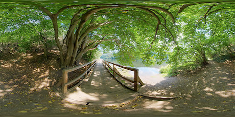 Light Playing On Wooden Bridge And Tree Branches