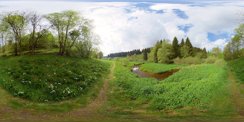 River Bend Near Hiking Trail In Flowering Meadow