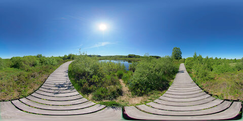 Peaceful Heathland Lake From Wooden Walkway
