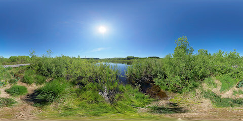 Peaceful Heathland Lake Near Water's Edge