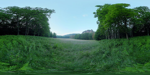 Forest Meadow In Morning Fog