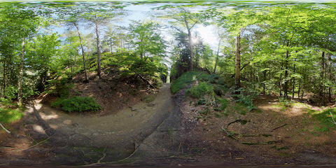 Forest Hiking Trail Leading Into Ravine