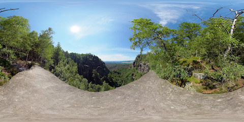 View Onto Forest Chasm From Rock Platform