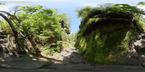 Hiking Trail In Moss-lined Ravine