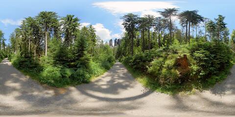 HikingTrail Leading To Affensteine Rocks