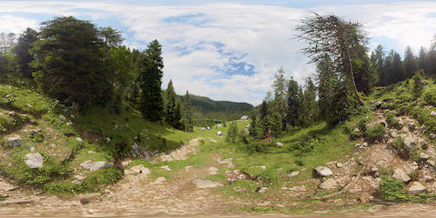 Alpine Pastures Along Steep Hiking Path