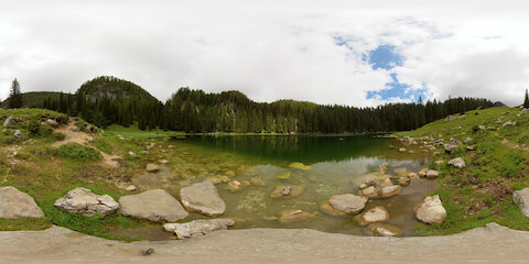 Fish In Mountain Lake