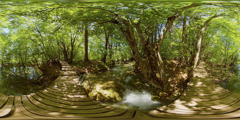 Boardwalk Across Cascading Stream In Rainforest