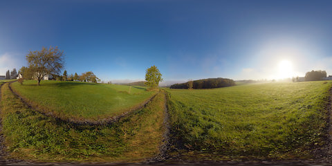 Grassy Hiking Trail On Misty Morning