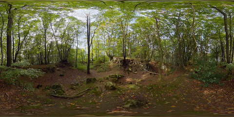 Basalt Crater In Enchanted Forest