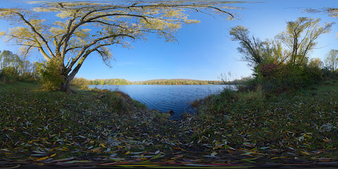 Small Ripples On Autumn Lake