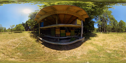Beehive In Forest Closeup