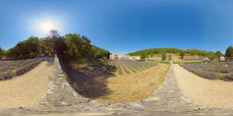 Sitting On Stone Wall Overlooking Lavender Field And Monastery 