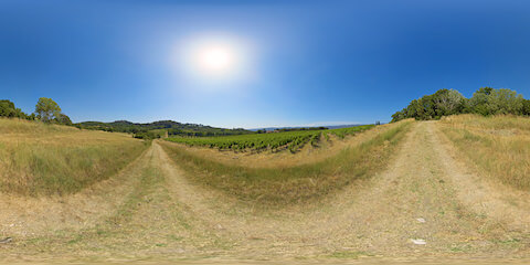 Provencal Vineyard And Estate 