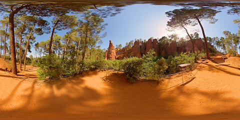Colourful Ochre Rocks In Pine Tree Forest