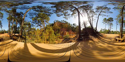 Wooden Viewing Platform Surrounded By Pine Trees In Ochre Landscape