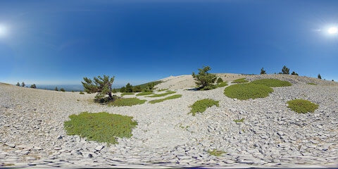 Hardy Trees And Grass Patches Frame View Of Mont Ventoux Mountain Peak 