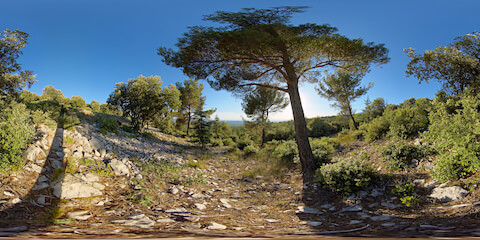 Valleyview From Stony Provencal Forest Landscape