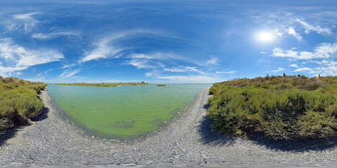 Camargue Salt Lake With Birds And Bushes On The Shore